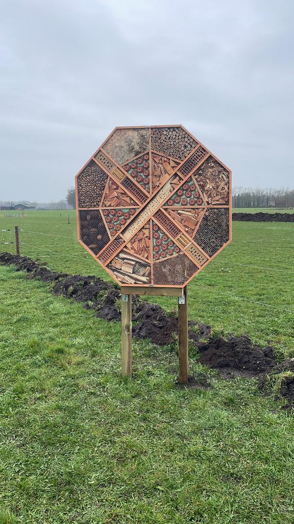 Insectenhuis ca 150 x 150 cm handgemaakt, Bijen