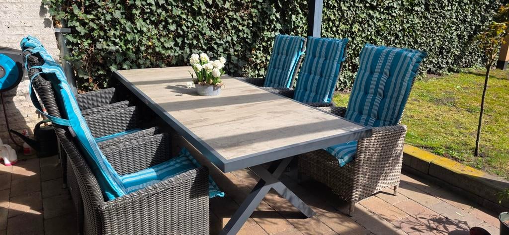 Hartman Tuintafel met 6 stoelen, Ophalen, Gebruikt, Wicker, Verstelbaar