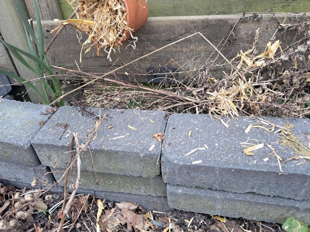 GRATIS op te halen grijze stenen, Ophalen of Verzenden, Gebruikt, Minder dan 100 cm, Minder dan 25 cm