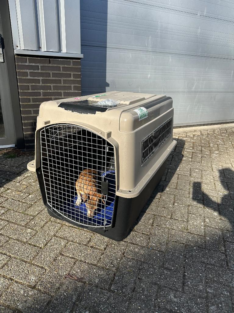 Honden reis kennel IATA goedgekeurd, Dieren en Toebehoren, Ophalen, Gebruikt