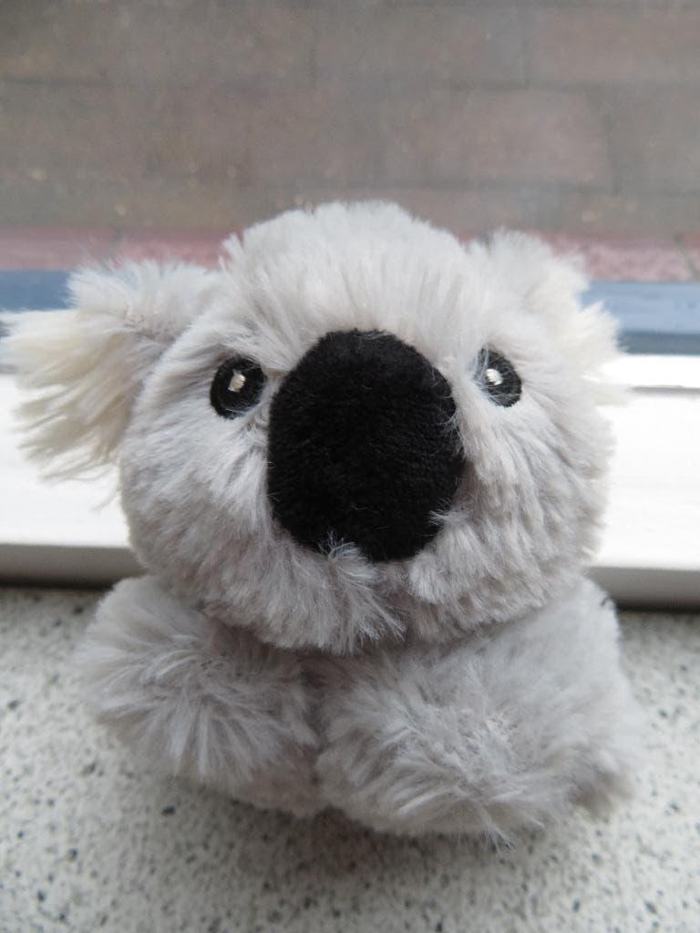 Grijze Beer koalabeer koala beertje merk ZD Trading Action, Kinderen en Baby's, Speelgoed | Knuffels en Pluche, Beer, Grijs, Ophalen of Verzenden