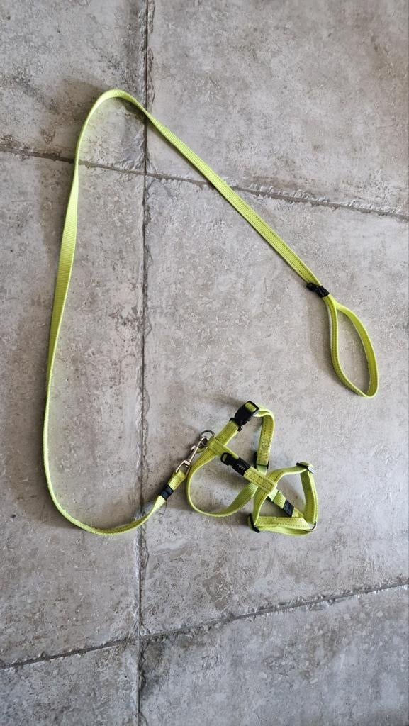 Hondenriem met halster voor pup, Dieren en Toebehoren, Ophalen, Gebruikt, Hondenriem