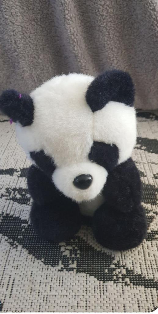 Mooie zachte panda knuffel, Met doos, Overige merken, Overige karakters, Beer
