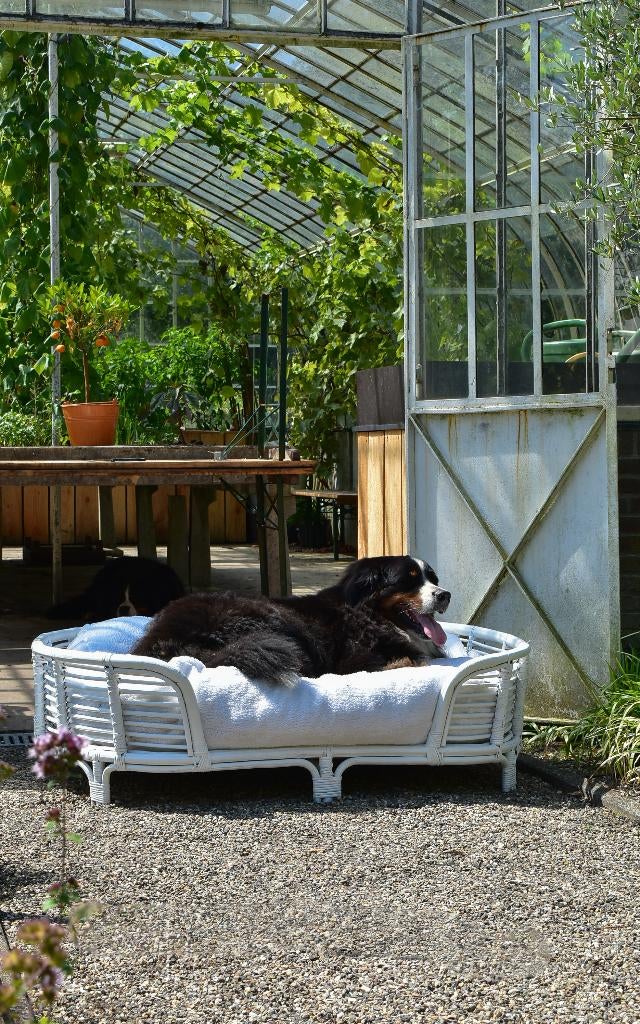 NIEUW XL Orthopedische Hondenmand - handgemaakt, wasbaar, Ophalen, Nieuw, Riet