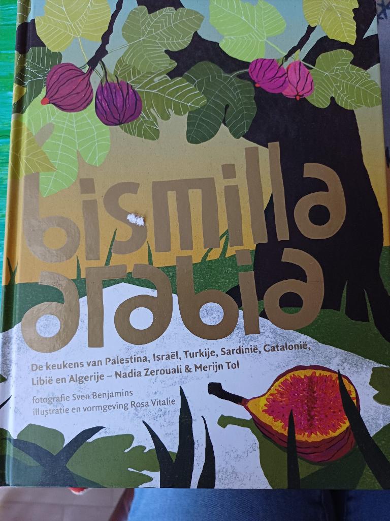 Nadia zerouali merijn tol. Bismilla arabia. Hardcover., Boeken, Ophalen, Gelezen, Nadia Zerouali, Midden-Oosten en Marokko
