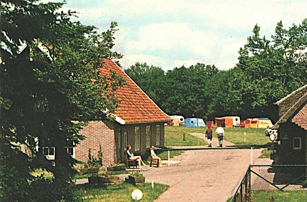 802382 Ommen Ov 1967 De Stekkenkamp  Stempel Lemelerveld, Ophalen of Verzenden, Voor 1920, Gelopen, Overijssel