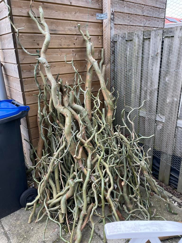 Wilgentakken, Minder dan 3 m³, Ophalen, Overige houtsoorten, Takken