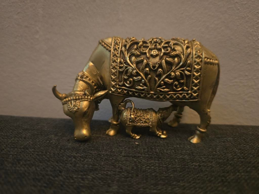 Surabhi koe koper, Antiek en Kunst, Ophalen of Verzenden, Koper