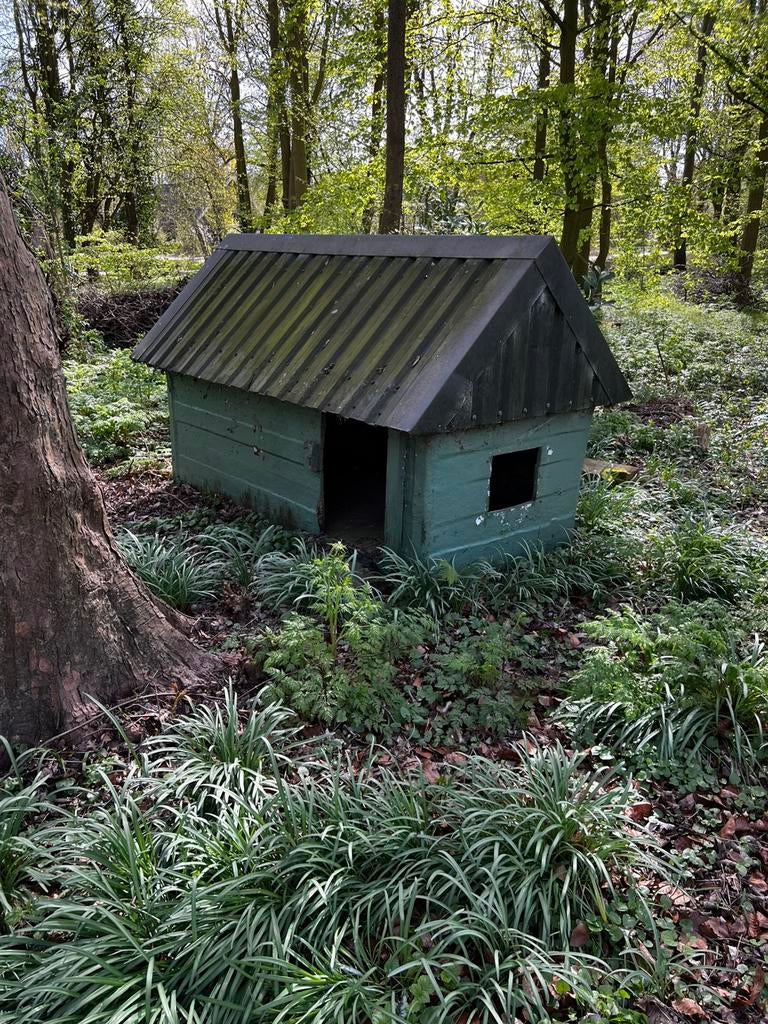 Gratis honden, kippen hok, Ophalen, Zo goed als nieuw, Kippenhok of Kippenren