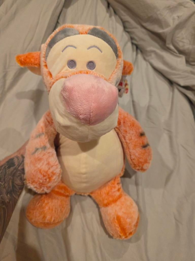 Disney Winnie de Poeh Tijgertje knuffel, Ophalen of Verzenden, Nieuw