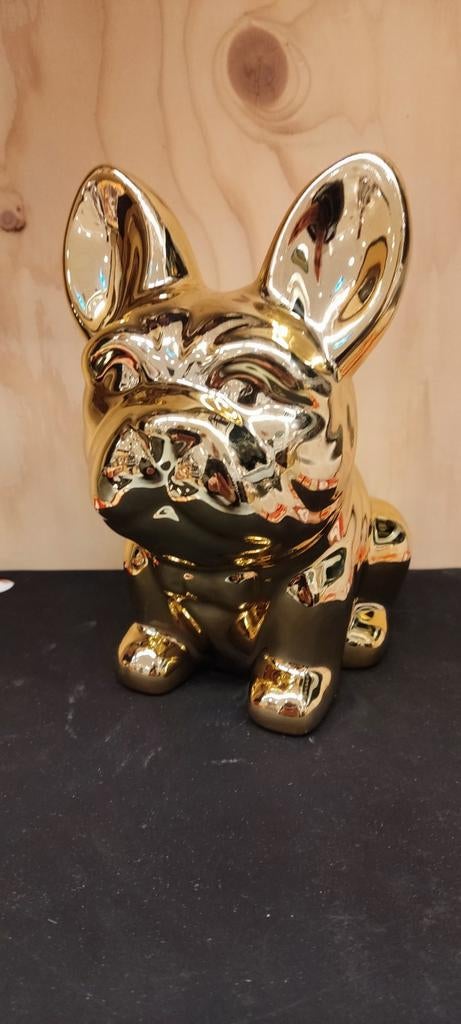 Leuk Beeldje/Spaarpotje van Franse Bulldog, Ophalen of Verzenden, Zo goed als nieuw, Mens