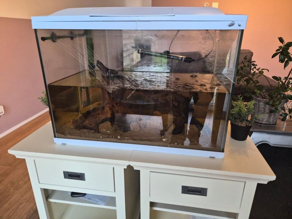 Superfish start 100 aquarium 93 liter!, Dieren en Toebehoren, Vis