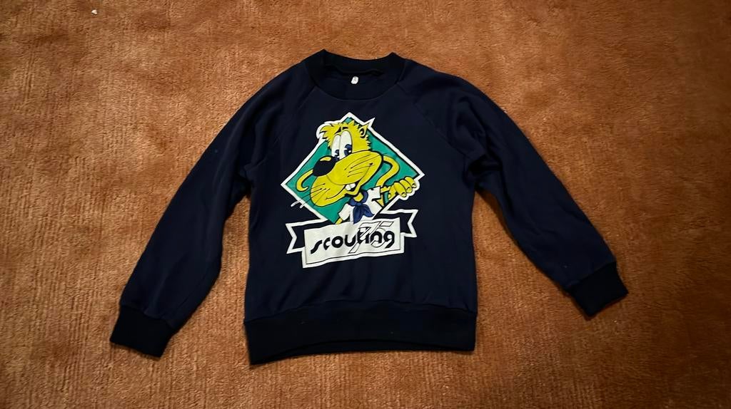 Oude scouting trui, Kinderen en Baby's, Ophalen of Verzenden, Zo goed als nieuw, Trui of Vest