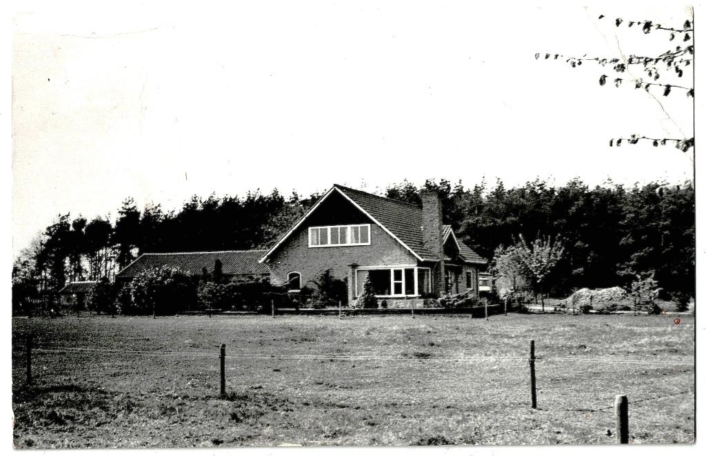 Teteringen (nb), meerberg gelopen kaart, uitgave m. De bruin, Verzamelen, Ansichtkaarten | Nederland, Verzenden, 1940 tot 1960