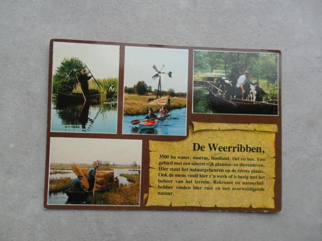 De Weerribben, tekst/kano/riet, Verzenden, 1980 tot heden, Ongelopen, Noord-Brabant