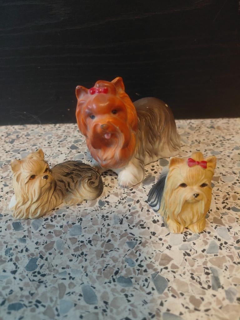 Yorkshire terrier, Ophalen of Verzenden, Zo goed als nieuw, Dier