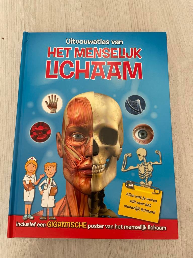 Uitvouwatlas van het Menselijk Lichaam - Leerzaam!, Ophalen of Verzenden, Nieuw, Non-fictie