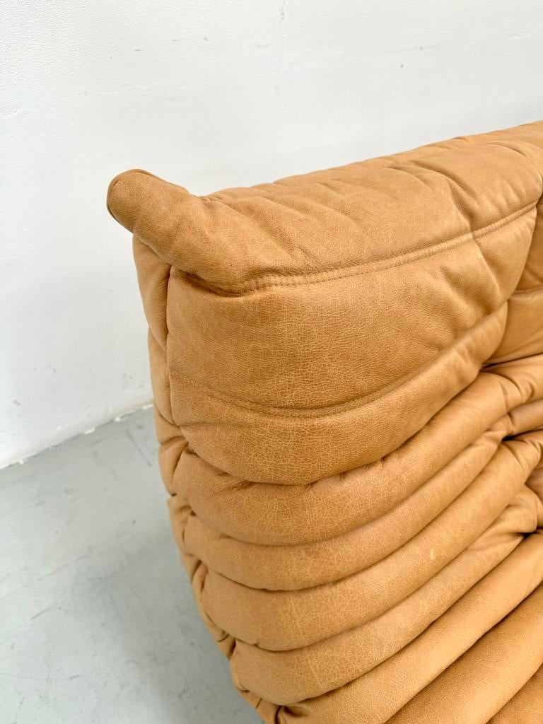 Togo Sofa in Camel attributed to Ducaroy for Ligne Roset., 150 tot 200 cm, Driepersoons, Zo goed als nieuw, Leer