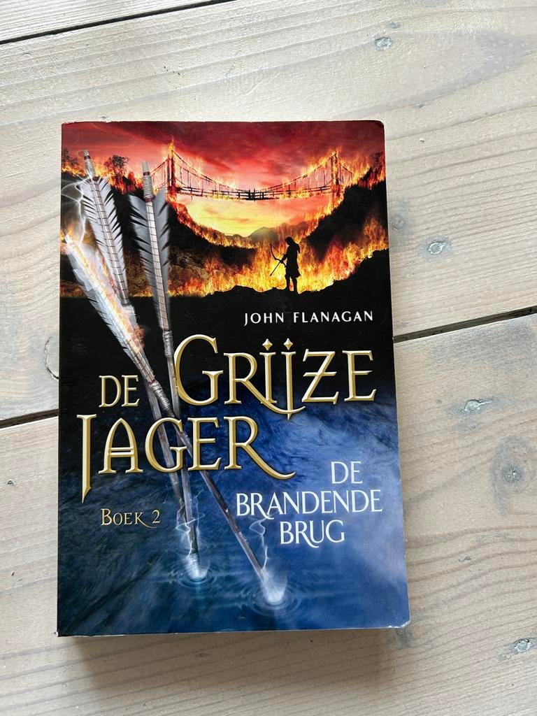 De Grijze Jager - De Brandende Brug (Boek 2), Ophalen, Gelezen