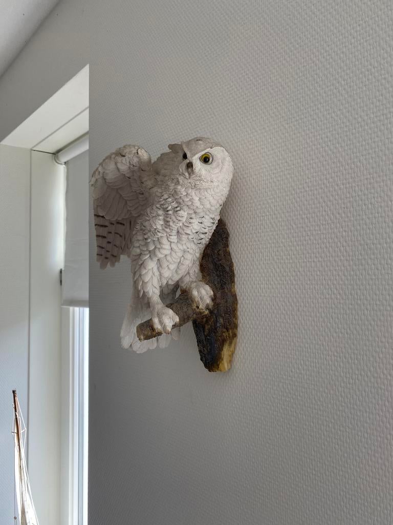 Kunststof Uil Beeld, Ophalen of Verzenden, Gebruikt