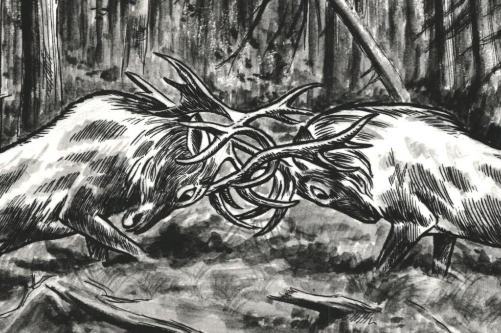 967082 Uddel Gld 1963 Bronstig edelwild edelhert Gelopen, Ophalen of Verzenden, 1960 tot 1980, Gelopen, Gelderland