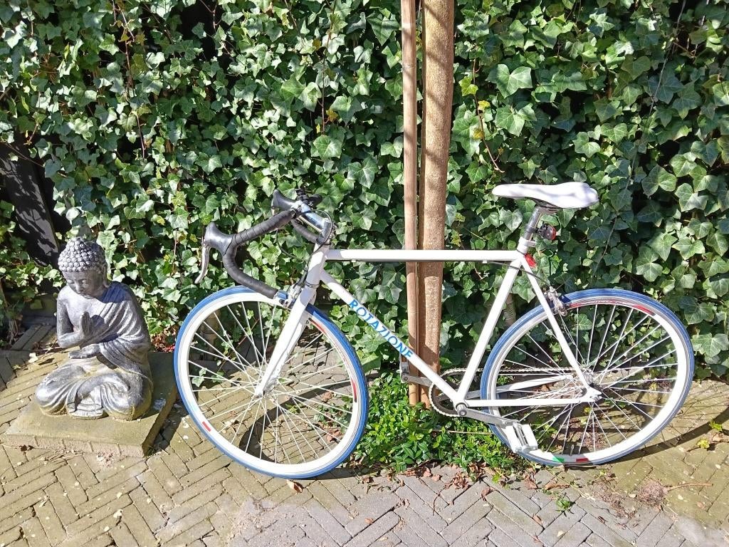 Stijlvolle single speed/fixie racefiets, Fietsen en Brommers, Fietsen | Racefietsen, Aluminium, Zo goed als nieuw, 57 tot 61 cm