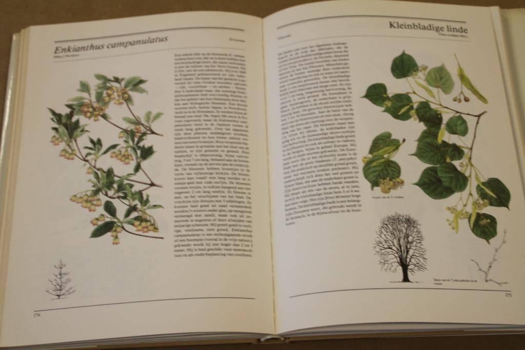 Dik boek Bomen en struiken - met 156 kleurenillustraties, Ophalen of Verzenden, Gelezen, Bloemen, Planten en Bomen