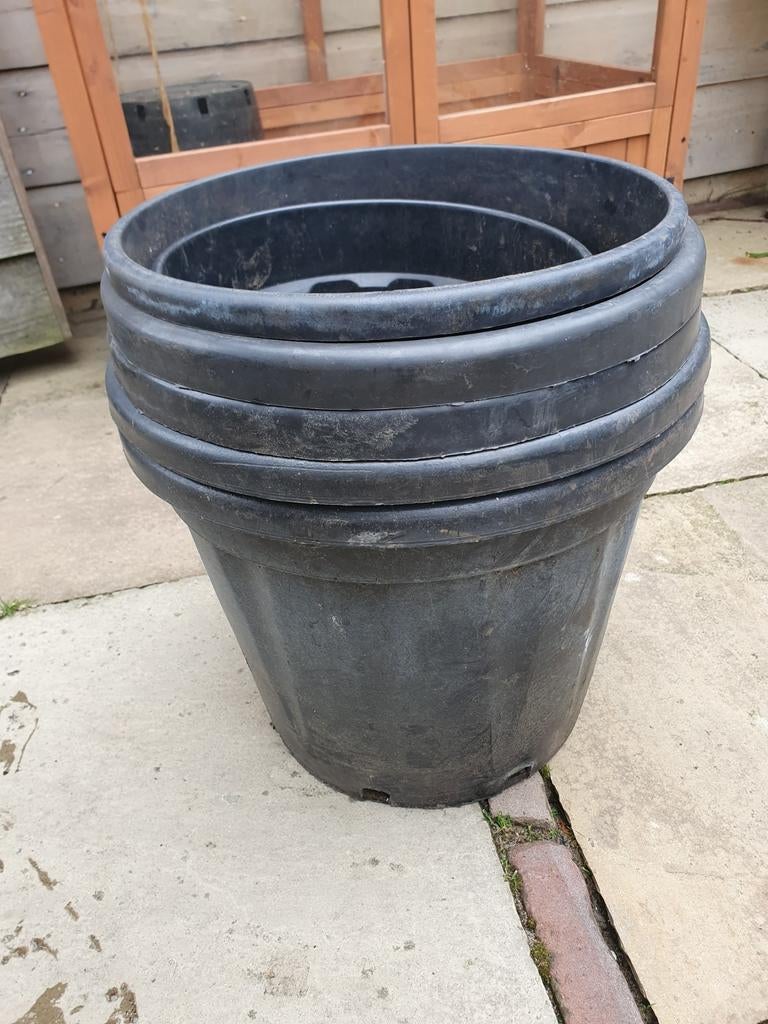 6 boomkuipen verschillende afmetingen, Ophalen