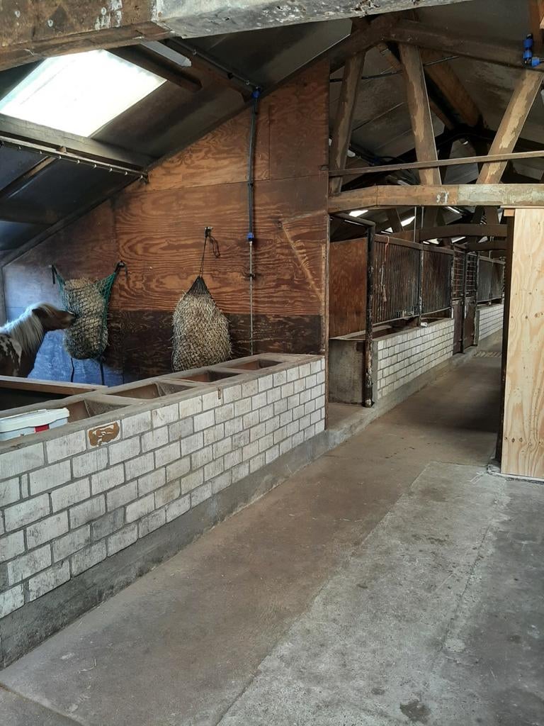 Stalling aangeboden, Stalling, 4 paarden of pony's of meer