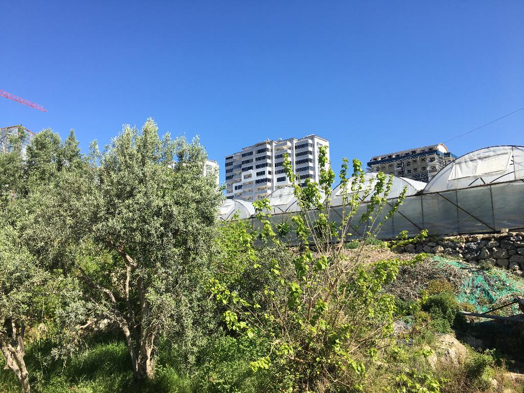 Mooi gezellig Appartement Alanya Turkije, Appartement, Aan zee, Stad, Turkse Rivièra