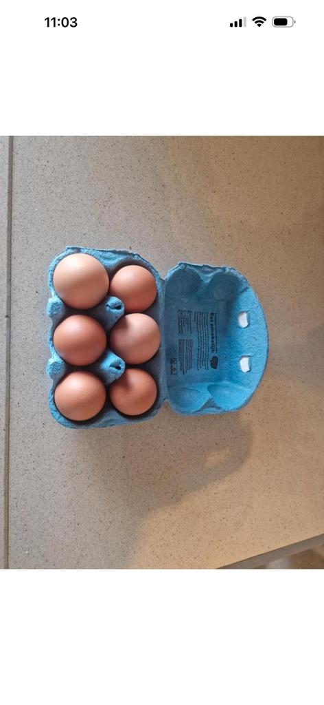 Verse eieren, Ophalen