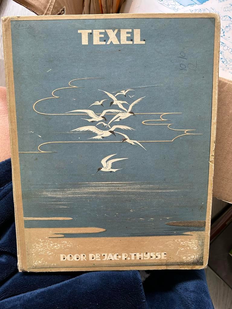 Boek Texel door Dr. Jac. P. Thijsse uit 1927, Boeken, Ophalen, Gelezen, Natuur algemeen
