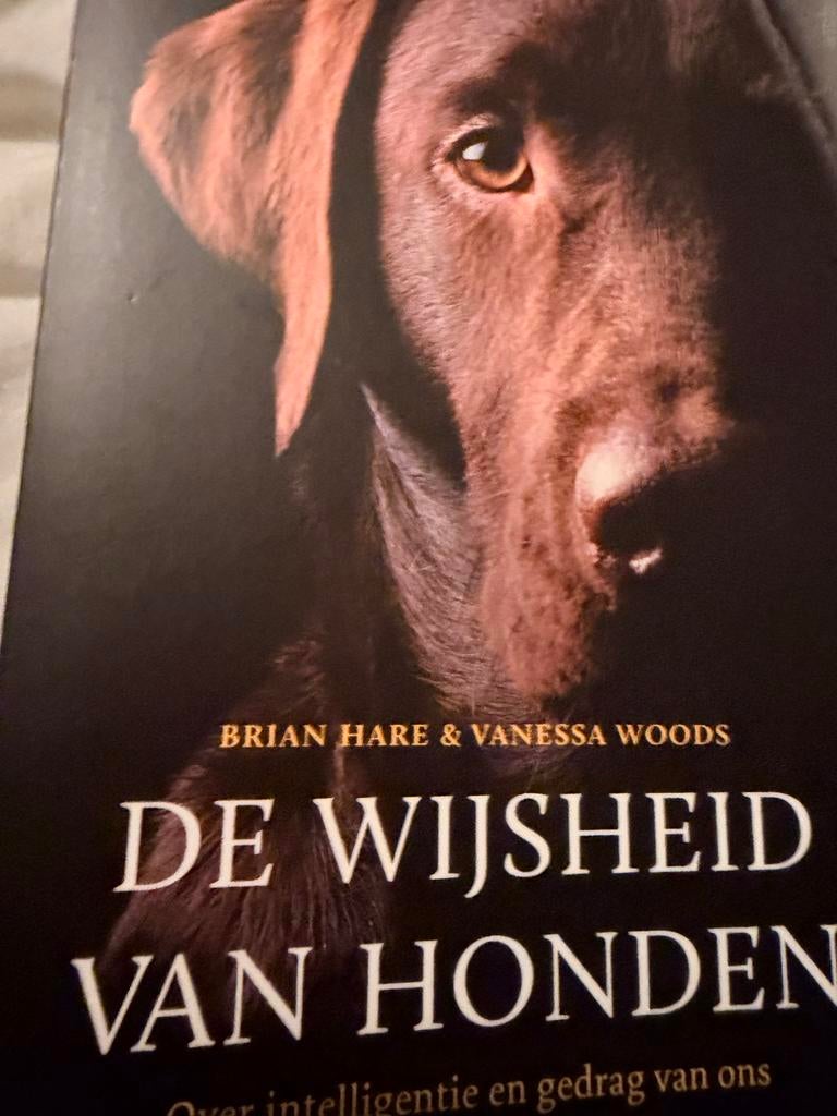 De Wijsheid van Honden - Brian Hare & Vanessa Woods (Nieuw), Ophalen of Verzenden, Nieuw, Honden