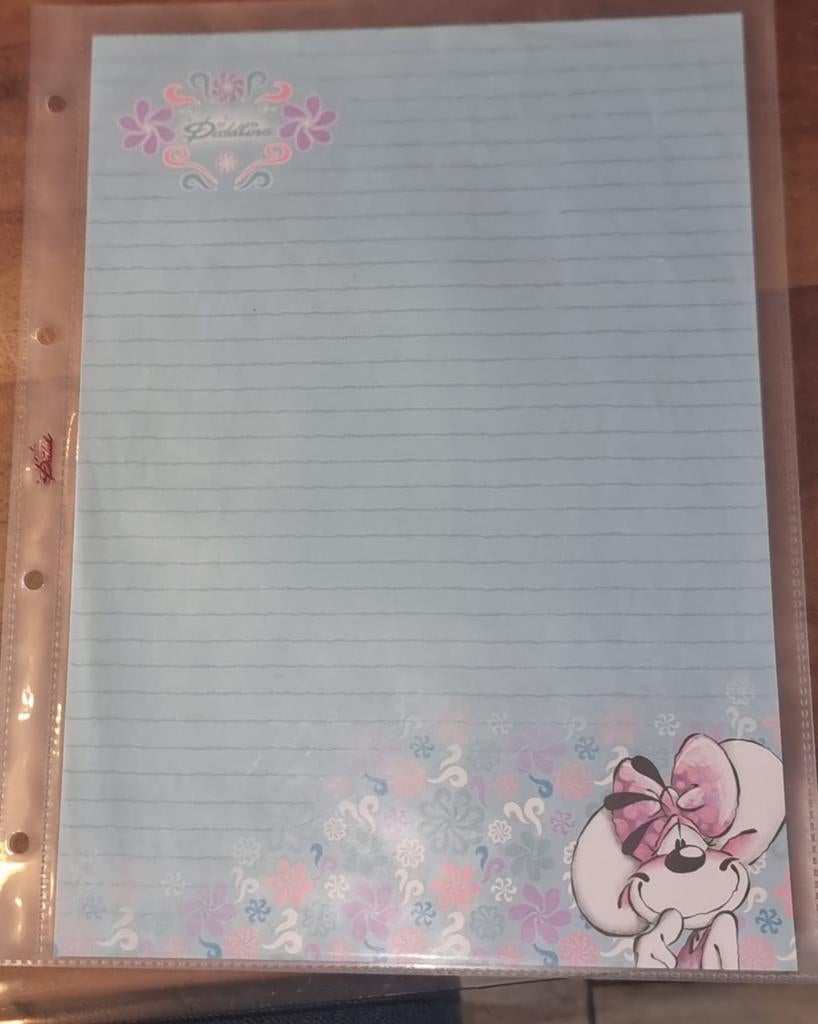 Diddlina speciaal A4, Ophalen of Verzenden, Diddl, Zo goed als nieuw, Papier, Kaart of Schrift