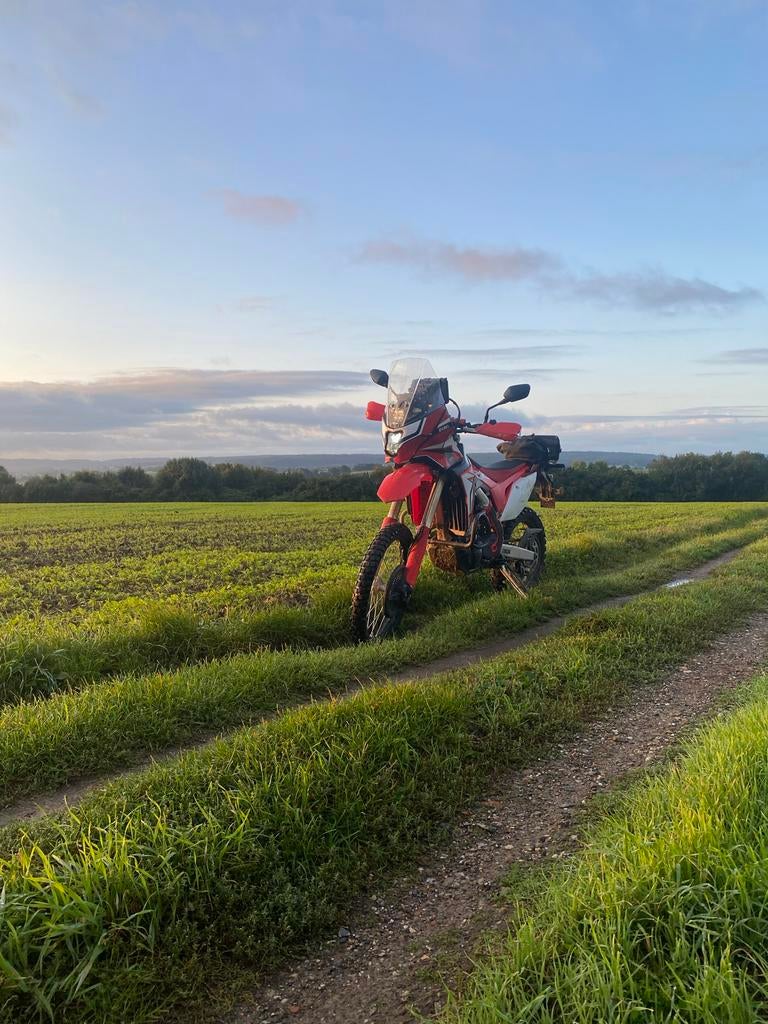 Honda CRF 450 L 2019 - Enduro / Dual-sport
