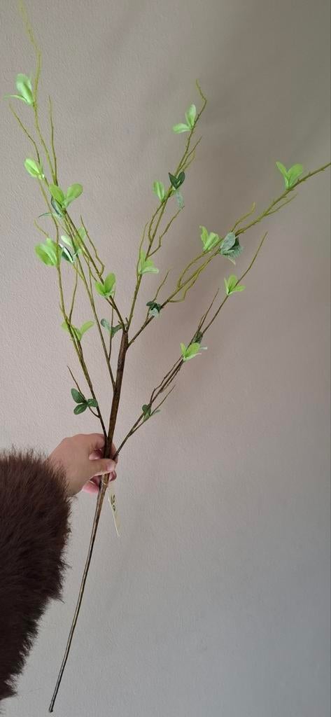 Kunst tak groen, Huis en Inrichting, Ophalen of Verzenden, Nieuw