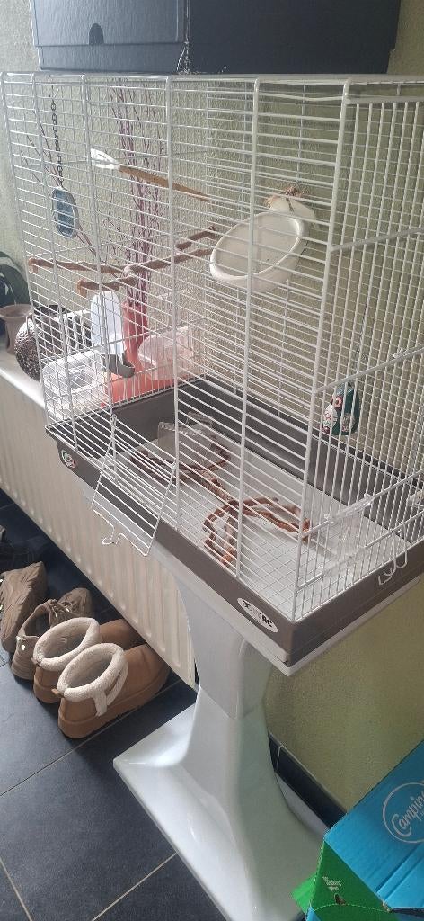 Vogel kooi, Dieren en Toebehoren, Ophalen, Zo goed als nieuw, Metaal, Vogelkooi