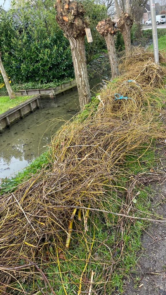 Gratis wilgentakken nog 6bossen, Ophalen of Verzenden, Meerdere media