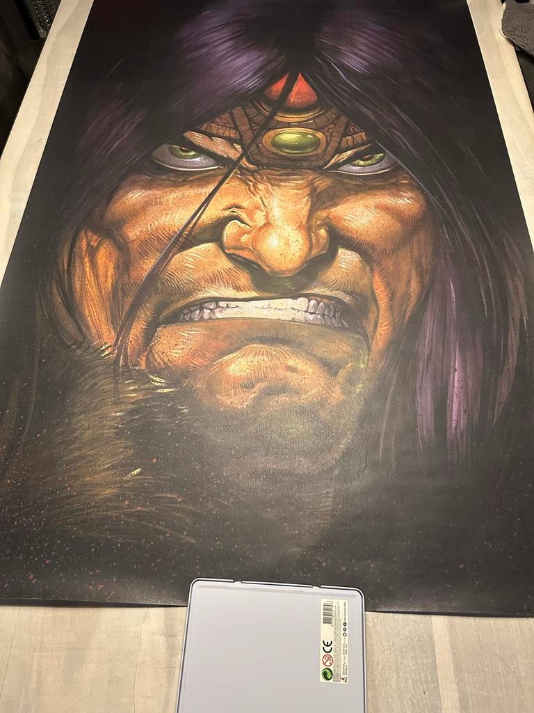 Mega Poster van Conan . Door Romano Molenaar en Jorg de Vos, Boeken, Eén comic, Ophalen of Verzenden, Zo goed als nieuw, Amerika