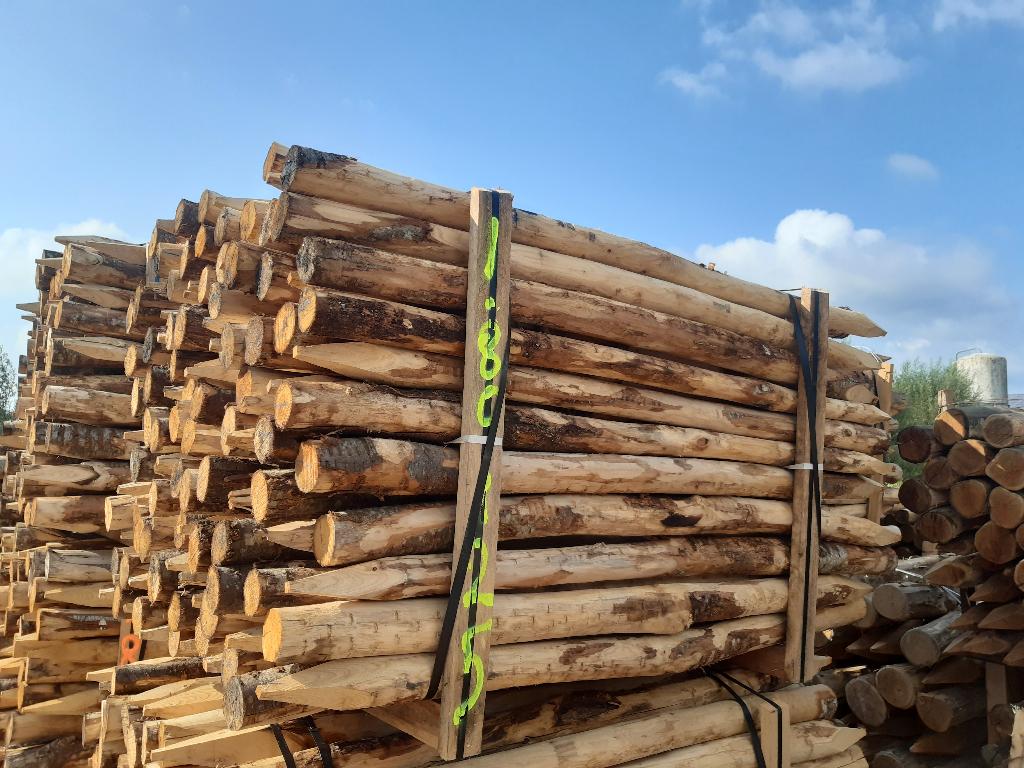 Kastanjehouten palen, heiningpalen, 180cm lang , 10/12cm dik, Ophalen, Nieuw, 180 tot 250 cm, Palen