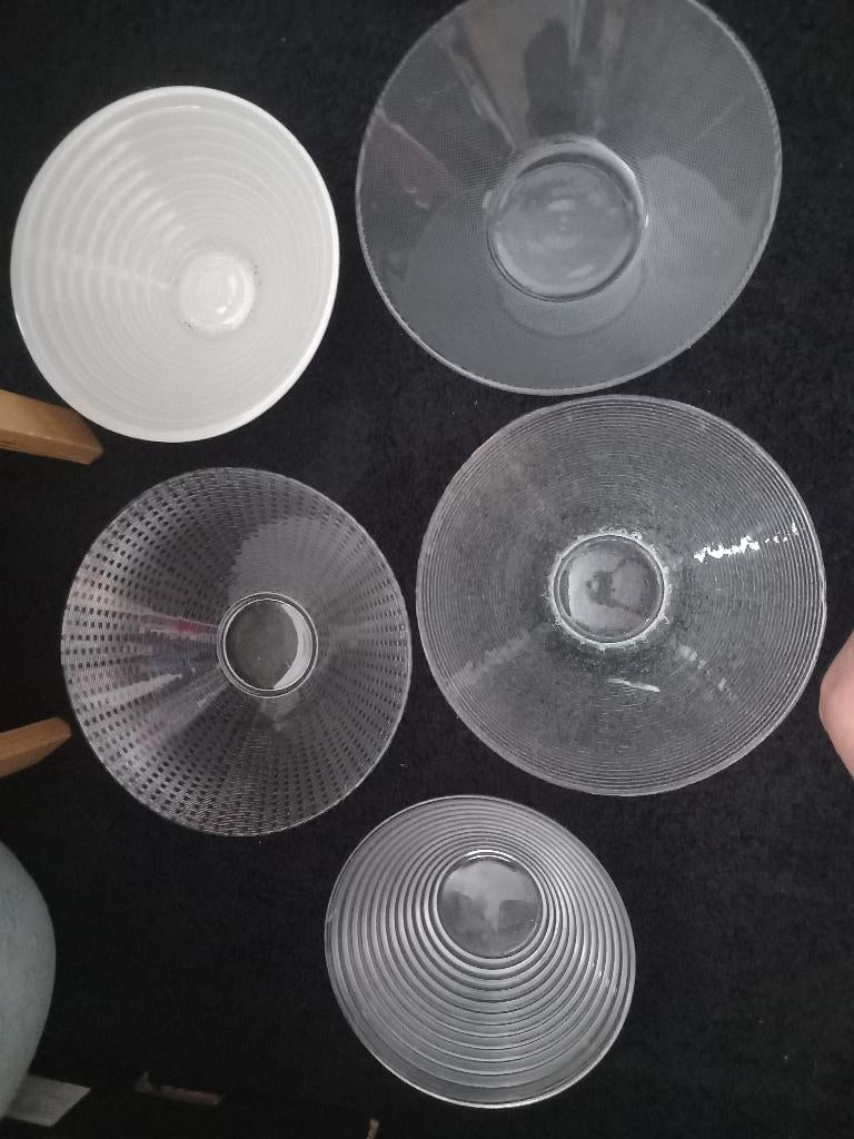 glazen schaal voor bloembollen  plantjes diverse maten soort, Ophalen of Verzenden, Gehele jaar, Volle zon, Bloembol