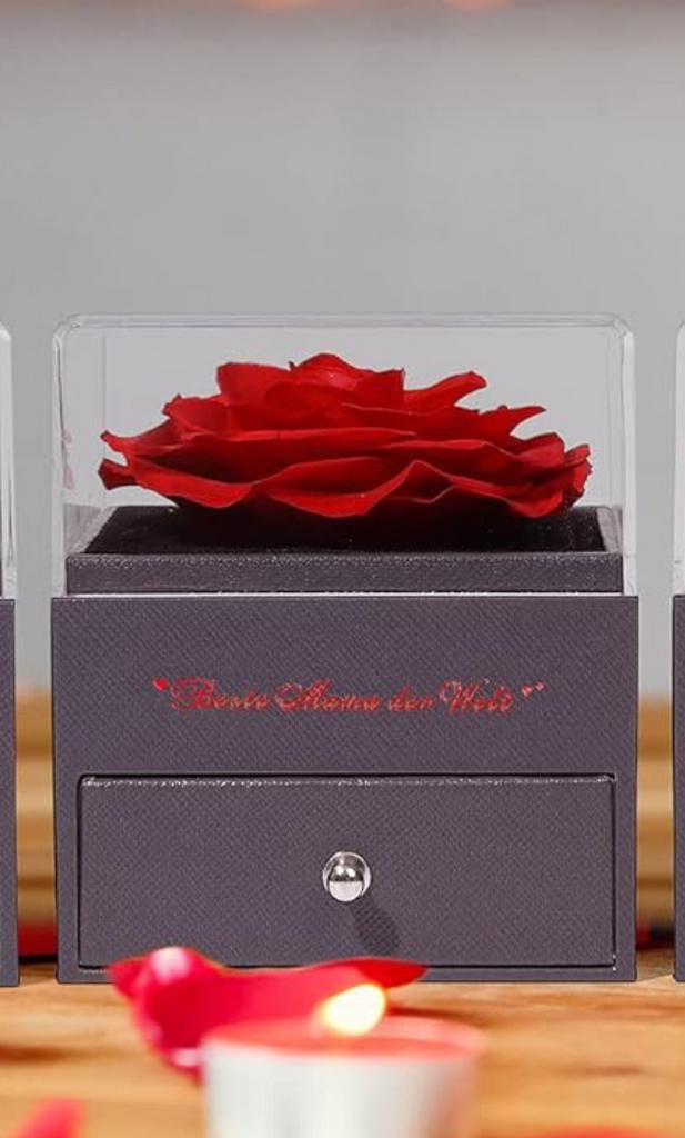 Eeuwige Roos - Perfect Moederdag Cadeau!, Overige soorten, In pot, Minder dan 100 cm, Bloeiende kamerplant