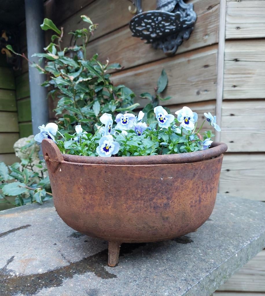 Leuk gietijzeren hekselketeltje voor planten, Tuin en Terras, Bloempotten, Gebruikt, Metaal, Binnen, Balkon, Tuin, Minder dan 40 cm