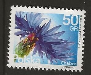 Polen 22, korenbloem, Verzenden, Polen, Gestempeld