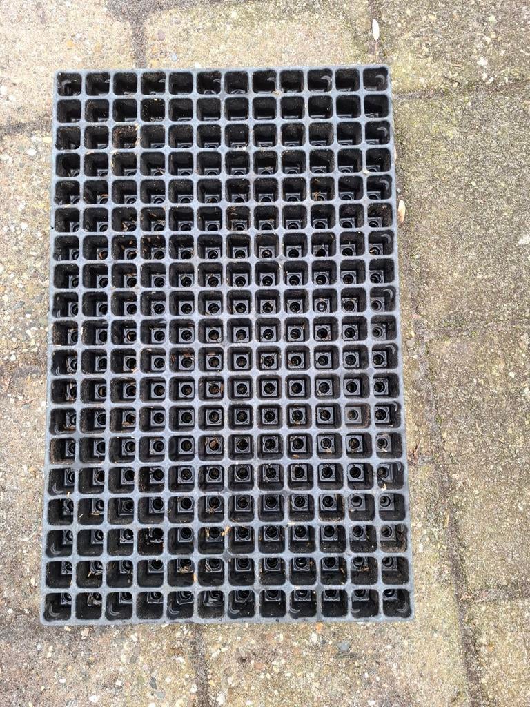 Stektrays...meermalig, Ophalen, Gebruikt, Kweekbak