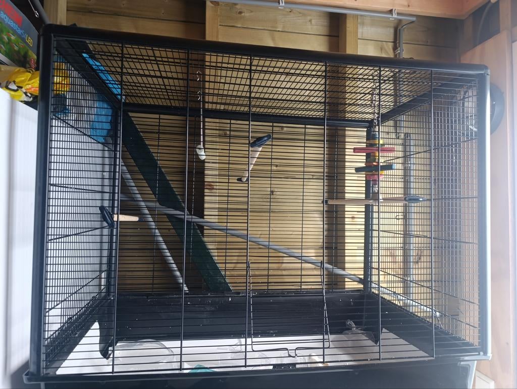 Vogelkooi, Ophalen of Verzenden, Metaal, Vogelkooi