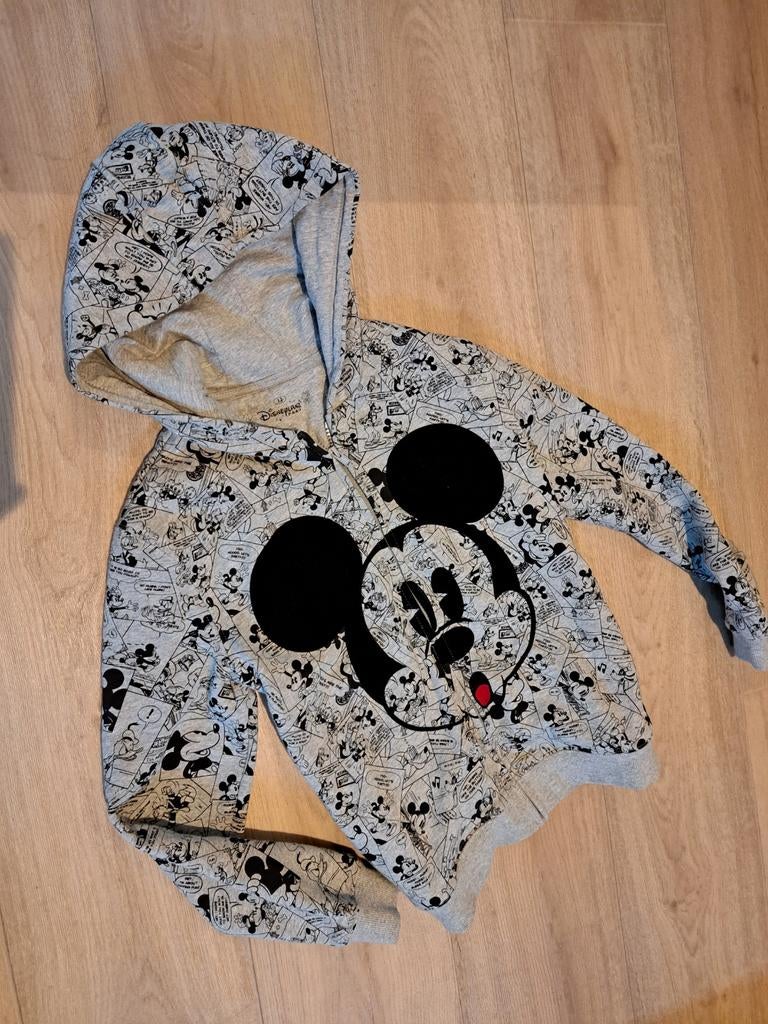 Disneyland Mickey Mouse vest - Maat 12 jaar - Nieuwstaat, Ophalen, Zo goed als nieuw, Disneyland Paris, Jongen of Meisje
