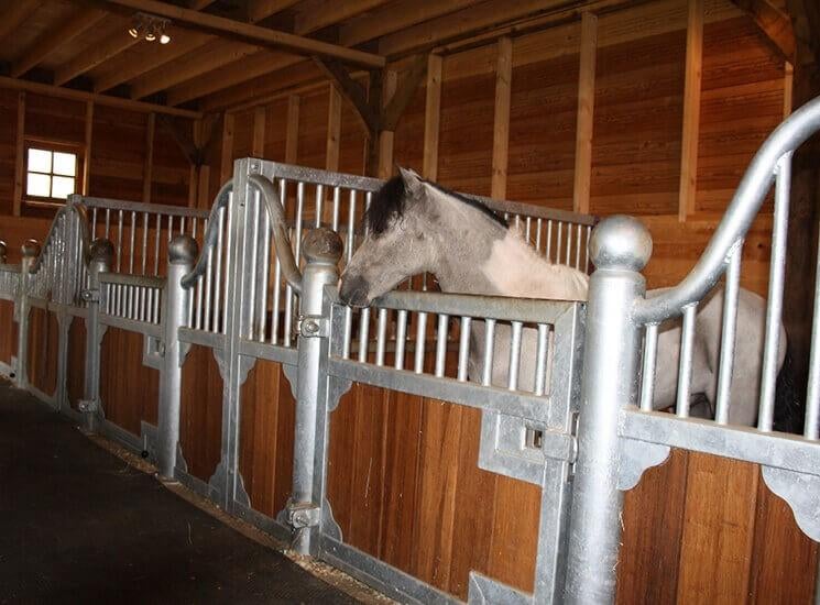 49. Mini paardenbox | shetlander box | minibox | ponystal, Dieren en Toebehoren, Stalling en Weidegang, Stalling, 1 paard of pony