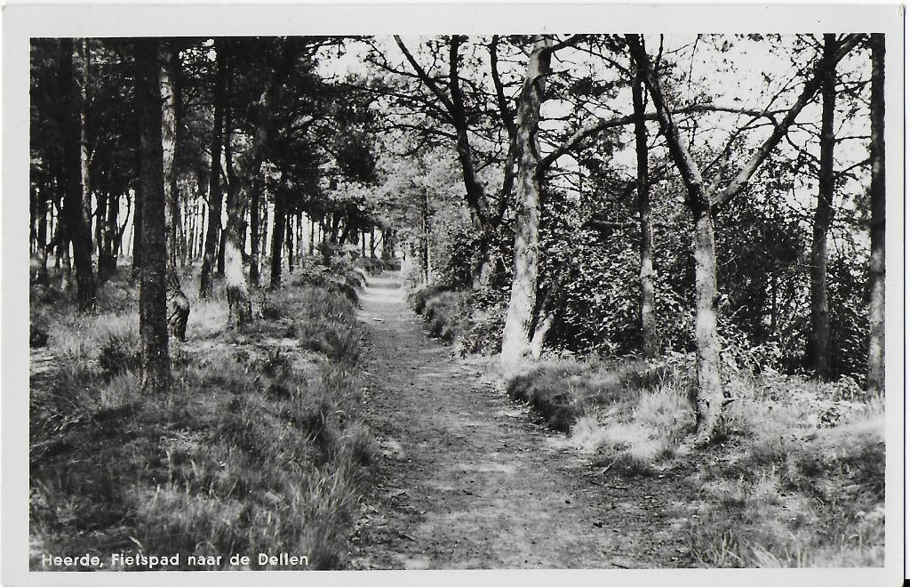 Pa1407 oude ansichtkaart heerde: het fietspad naar de dellen, Verzamelen, Ophalen of Verzenden, 1960 tot 1980, Gelopen, Gelderland