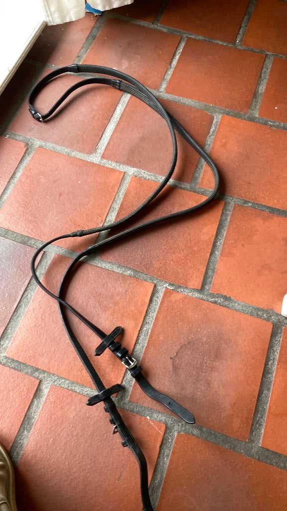 Teugels  paard, Dieren en Toebehoren, Ophalen of Verzenden